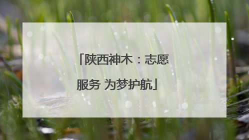陕西神木：志愿服务 为梦护航