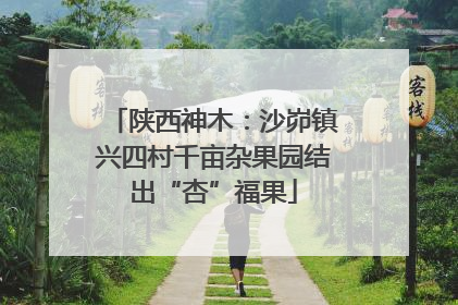 陕西神木：沙峁镇兴四村千亩杂果园结出“杏”福果