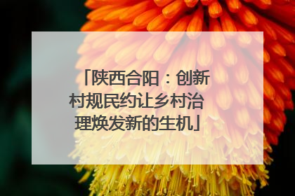 陕西合阳：创新村规民约让乡村治理焕发新的生机