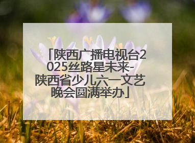 陕西广播电视台2025丝路星未来-陕西省少儿六一文艺晚会圆满举办