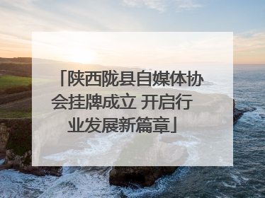 陕西陇县自媒体协会挂牌成立 开启行业发展新篇章