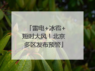 雷电+冰雹+短时大风！北京多区发布预警
