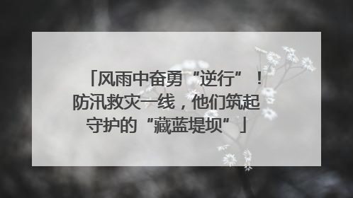风雨中奋勇“逆行”！防汛救灾一线，他们筑起守护的“藏蓝堤坝”