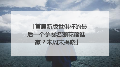 首届新版世俱杯的最后一个参赛名额花落谁家？本周末揭晓
