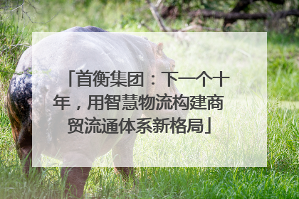 首衡集团：下一个十年，用智慧物流构建商贸流通体系新格局