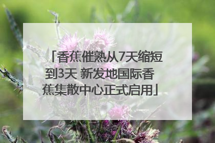 香蕉催熟从7天缩短到3天 新发地国际香蕉集散中心正式启用