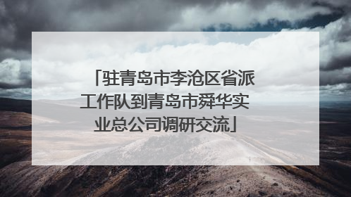驻青岛市李沧区省派工作队到青岛市舜华实业总公司调研交流