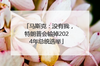 马斯克：没有我，特朗普会输掉2024年总统选举