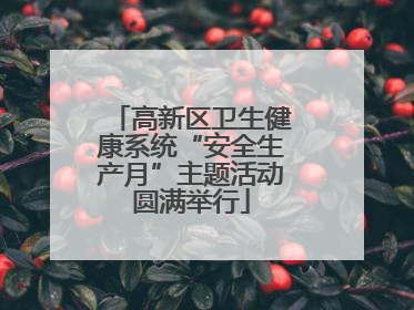 高新区卫生健康系统“安全生产月”主题活动圆满举行