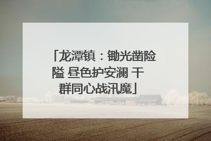 龙潭镇：锄光凿险隘 昼色护安澜 干群同心战汛魔