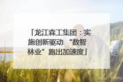 龙江森工集团：实施创新驱动 “数智林业”跑出加速度