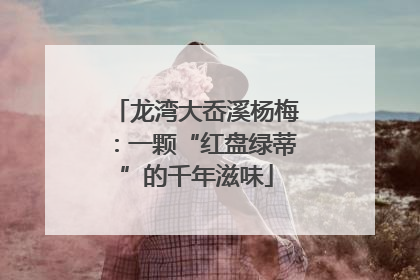 龙湾大岙溪杨梅：一颗“红盘绿蒂”的千年滋味