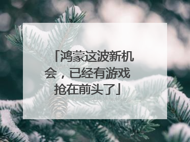 鸿蒙这波新机会，已经有游戏抢在前头了