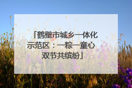 鹤壁市城乡一体化示范区：一粽一童心 双节共缤纷