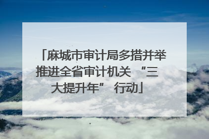 麻城市审计局多措并举推进全省审计机关 “三大提升年” 行动