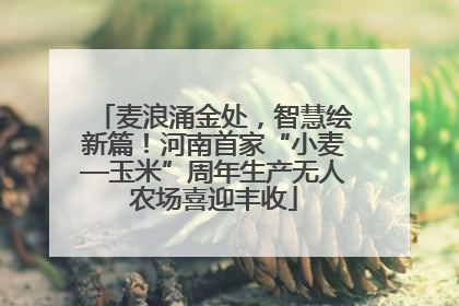 麦浪涌金处，智慧绘新篇！河南首家“小麦—玉米”周年生产无人农场喜迎丰收