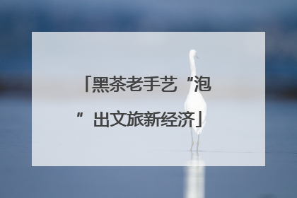 黑茶老手艺“泡”出文旅新经济