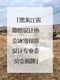 黑龙江省勘察设计协会冰雪创意设计专业委员会揭牌
