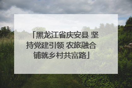 黑龙江省庆安县 坚持党建引领 农旅融合铺就乡村共富路