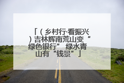 （乡村行·看振兴）吉林辉南荒山变“绿色银行” 绿水青山有“钱景”