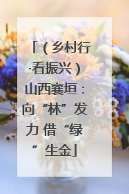 （乡村行·看振兴）山西襄垣：向“林”发力 借“绿”生金
