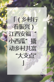 （乡村行·看振兴）江西安福“小西瓜”撬动乡村共富“大支点”