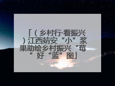 （乡村行·看振兴）江西靖安“小”浆果助绘乡村振兴“莓”好“蓝”图