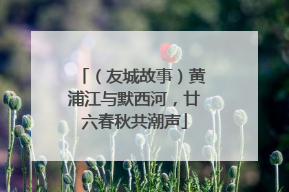 （友城故事）黄浦江与默西河，廿六春秋共潮声