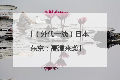 （外代一线）日本东京：高温来袭