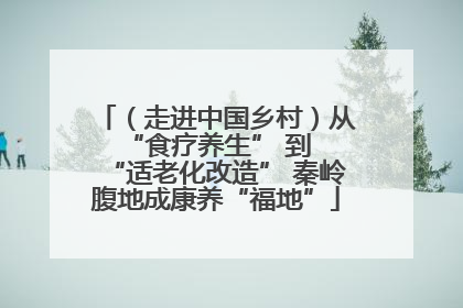 （走进中国乡村）从 “食疗养生” 到 “适老化改造” 秦岭腹地成康养“福地”