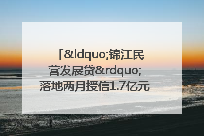 “锦江民营发展贷”落地两月授信1.7亿元，惠及118家民企