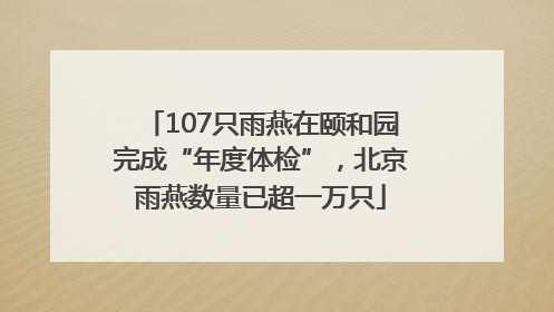 107只雨燕在颐和园完成“年度体检”，北京雨燕数量已超一万只