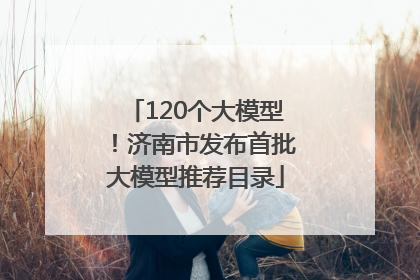 120个大模型！济南市发布首批大模型推荐目录