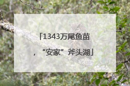 1343万尾鱼苗，“安家”斧头湖