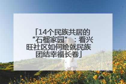 14个民族共居的“石榴家园”：看兴旺社区如何绘就民族团结幸福长卷