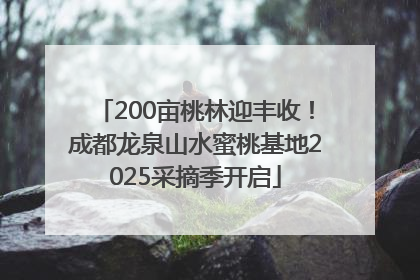 200亩桃林迎丰收！成都龙泉山水蜜桃基地2025采摘季开启