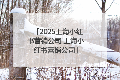 2025上海小红书营销公司 上海小红书营销公司