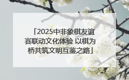 2025中非象棋友谊赛联动文化体验 以棋为桥共筑文明互鉴之路