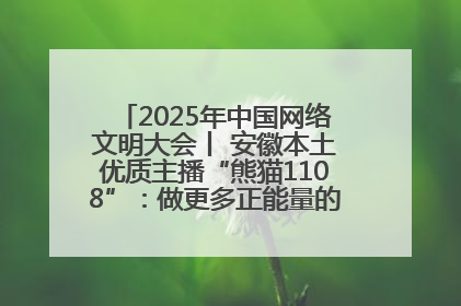 2025年中国网络文明大会丨 安徽本土优质主播“熊猫1108”:做更多正能量的事情 带给大家快乐
