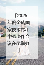 2025年度金砖国家技术转移中心协作会议在昆举办