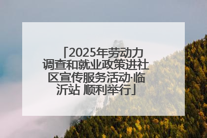 2025年劳动力调查和就业政策进社区宣传服务活动·临沂站 顺利举行