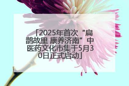 2025年首次“扁鹊故里 康养济南”中医药文化市集于5月30日正式启动