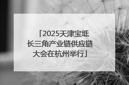 2025天津宝坻长三角产业链供应链大会在杭州举行