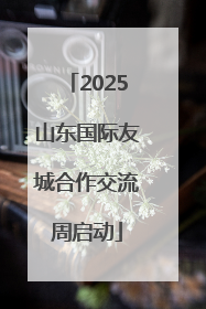 2025山东国际友城合作交流周启动