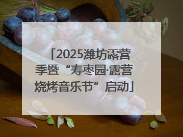 2025潍坊露营季暨“寿枣园·露营烧烤音乐节”启动