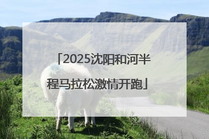 2025沈阳和河半程马拉松激情开跑