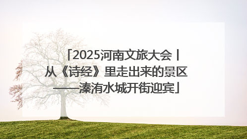 2025河南文旅大会丨从《诗经》里走出来的景区——溱洧水城开街迎宾