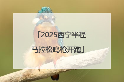 2025西宁半程马拉松鸣枪开跑