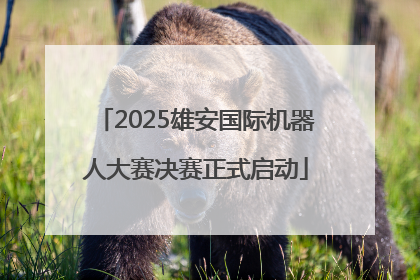 2025雄安国际机器人大赛决赛正式启动