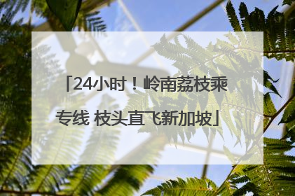 24小时！岭南荔枝乘专线 枝头直飞新加坡